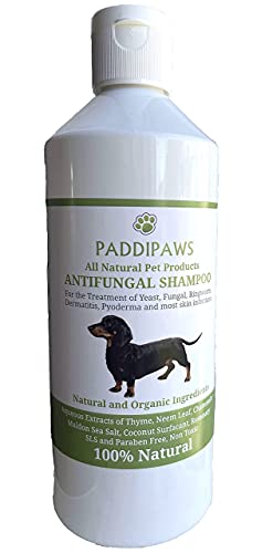 Top 10 Antifungal Dog Shampoos Of 2021 Best Reviews Guide