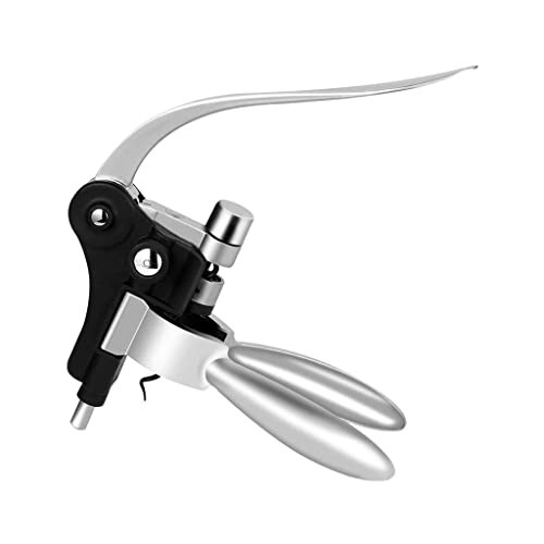 PEWETE rbg CI[vi[ o[ rbtF rbg RNXN[ RN [o[ t^[, Vo[