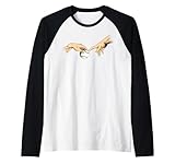 Photo Gallery baseball softball michelangelo giocatore di baseball maglia con maniche raglan Photo Gallery baseball softball michelangelo giocatore di baseball maglia con maniche raglan