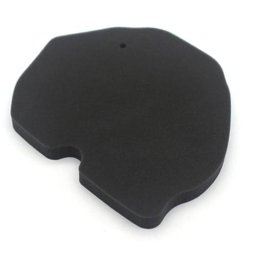 Nettoyeur de filtre à air pour moto Benelli BJ300 double mousse