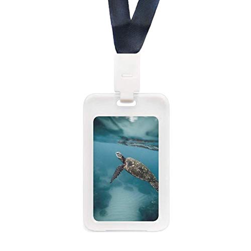 Porte-cartes crédit transparent étui protection identité motif tortue