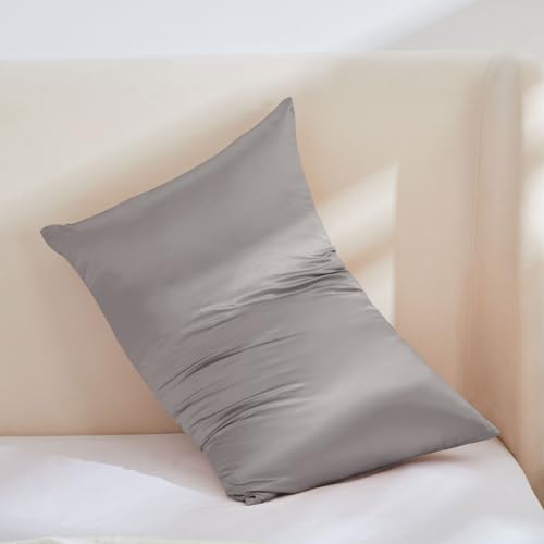 Image of THXSILK 100% Mulberry Silk Pillow Case, 30 Momme Silk Pillowcase for Hair and Skin, Hypoallergenic Soft Breathable Pillow Cover with Hidden Zipper, 1pc(Grey, Standard 20 inchx26 inch)