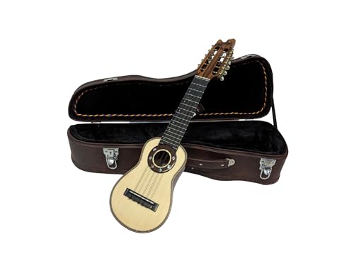 Charango Profesional con Estuche, 10 Cuerdas, Cuerpo de Guayacan Blanco, Incluye Estuche Rigido