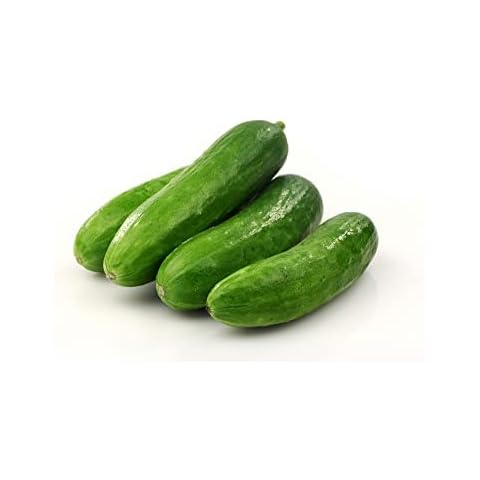 Cucumber 'Petita' 4 Plug Plant Pack Cover