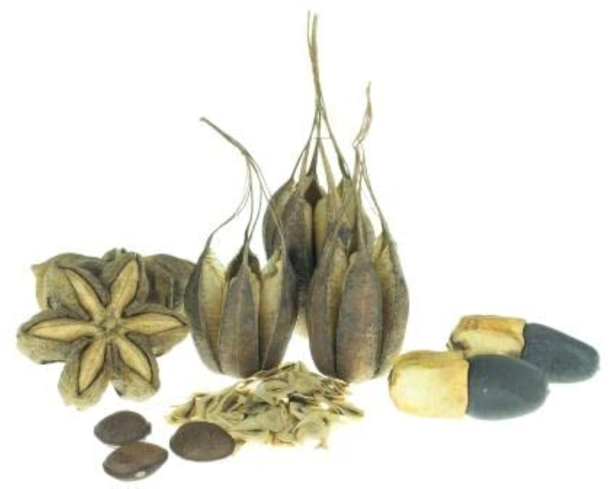 Eswaramooli Powder, Pure & Natural