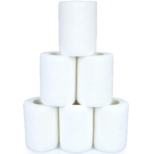 KEQCQE Lk e͕єSуe[sO oe[W ybg  LhsDz ֐߃T|[g Lk ʋC 6