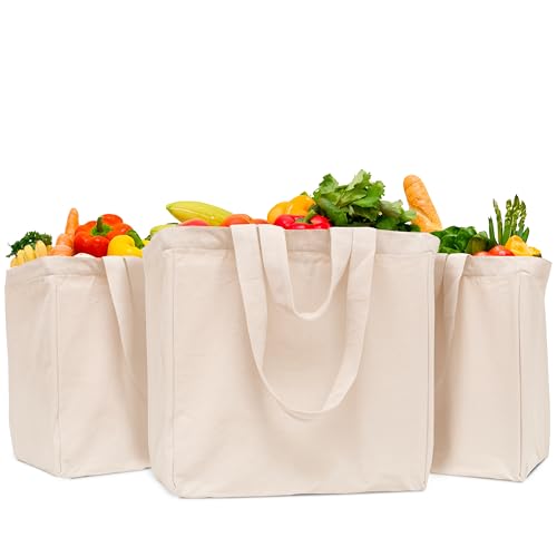 Image of Heavy Duty Reusable Grocery Bags - Large, Extremely Sturdy, Thick Canvas Material, Double Stitched, 6 Real Pockets, Washable Canvas Grocery Shopping Tote Bags with Short and Long Handles (3 Bags) | Heavy Duty