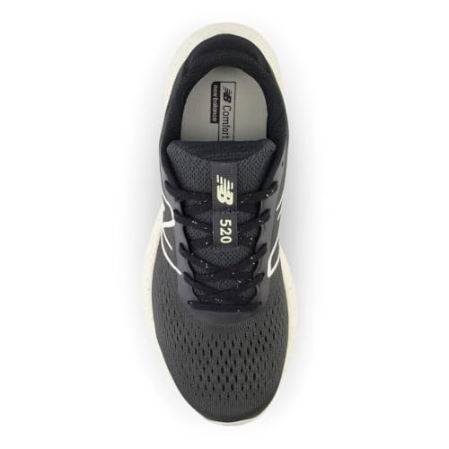 Image of New Balance Women's 520 V8 Shoes