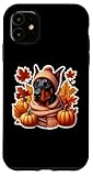 Photo Gallery autunno autunno doberman pinscher cane foglie di zucca proprietario amante custodia per iphone 11 Photo Gallery autunno autunno doberman pinscher cane foglie di zucca proprietario amante custodia per iphone 11