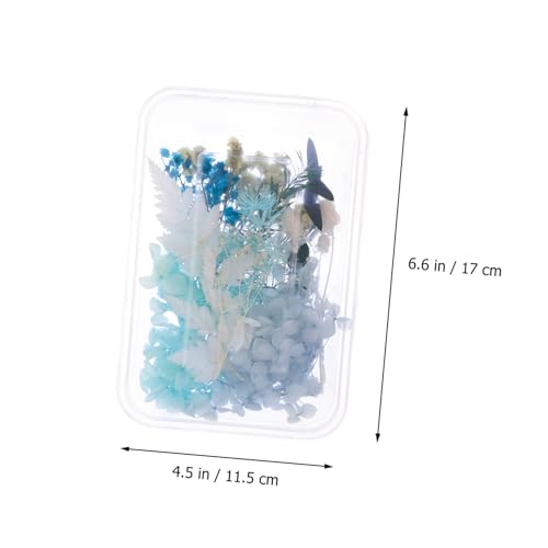 Flores secas prensadas para manualidades DIY miniatura 2