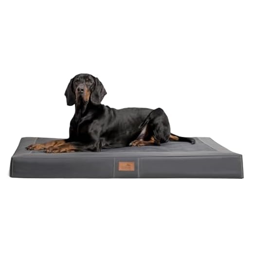 BedDog® Hundebett LUPI, Hundesofa aus Cordura, Microfaser-Velours, waschbares Hundebett mit Rand, Hundekissen Vier-eckig, für drinnen, draußen, XXL, The-Rock, schwarz-grau 8 tierlando Oscar VIP Ortho Hundematratze Kunstleder Velours Orthopädisches Hundebett VISCO Größe: OS4 100cm | Farbe: AL-02 Graphit