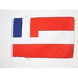 AZ FLAG