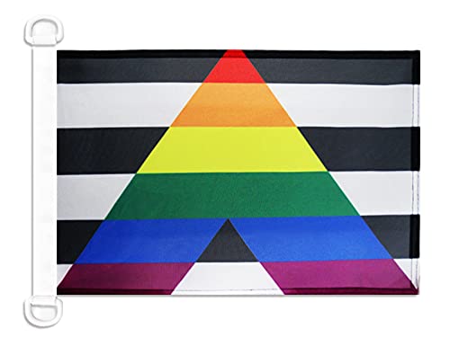 AZ FLAG Gay Straight Alliance Boat Flag 45x30 cm Plastic Rings — image 1