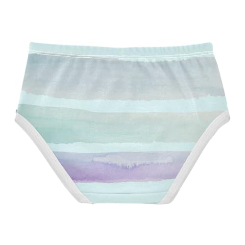 Briefs Breathable Panties Organic Underpants for Toddler in Sizes 2T,3T, 4T, 5T, 6Y and 8Y2