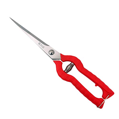 Best Pruning Shears For Bonsai 10Reviewz