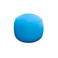 Algopix Similar Product 9 - Champion Sports Replacement Ultra Lite