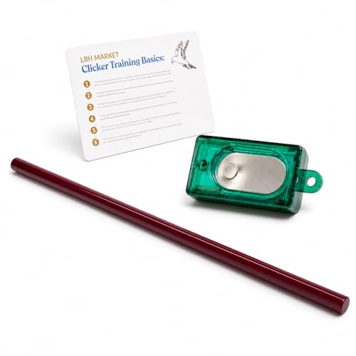LBH MARKET Bird Training Kit
