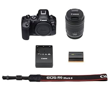 Amazon | キヤノン EOS R6 Mark II RF24-105 IS STM レンズ
