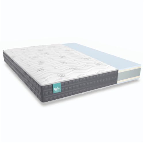 ZZ DON DESCANSO Colchón Viscoelástico Aloe Vera Mulhacén, Espuma con Memoria, Altura ± 21cm,...