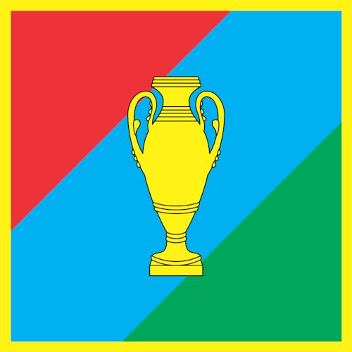 Drapeau Large Baranivka idéal pour rassemblement et cérémonie - 2