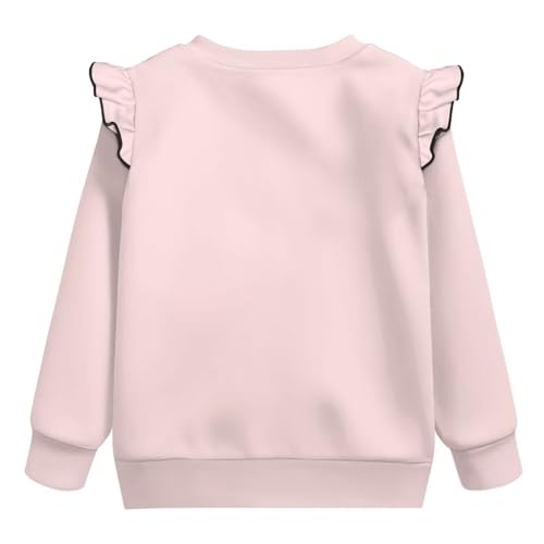 Toddler Sweatshirt Girls Cute Animal Crewneck Pullover Trendy Long Sleeve Hoodies Cute Tops for Pre-K Age 1-8 Years3