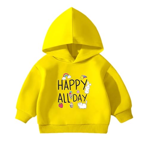 Sudadera para Niños Pequeño - Camiseta de Manga Larga Sudadera con Cremallera Manga Larga Ropa de Abrigo niños pequeños Jersey para Infantil 2-7 Años#A