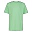 Flag Green Ash Flag Green Ash