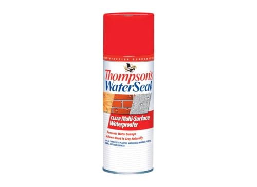 Thompson's Waterseal Clear Water-Based Multi-Surface Waterproofer 12 Oz. - Case of: 1