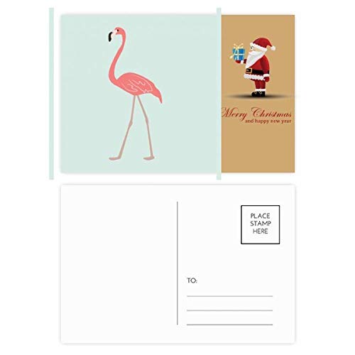 Cartes postales flamant rose en lot de 20 exemplaires pour correspondance