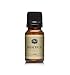 Eucalyptus Fragrance Oil - Premium Grade Scented Oil - 10ml