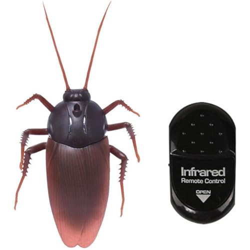 傫ȃSLu WR d  SLu ԊOR A hbL  ObY L炵 ̂  Mtg p[eB[ nEB NX}X v[g