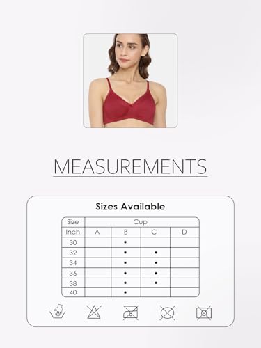 Image of Women Bra