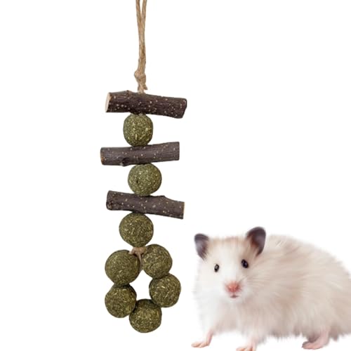 Juguetes masticables para hámster, juguetes saludables para masticar, juguetes para hámster para jaula, mordedores de madera para el cuidado bucal, suministros divertidos para mascotas, juguete para