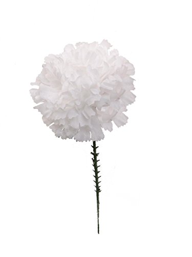 Floral Supply Online - 4.25