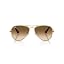 Gold/Clear Gradient Brown