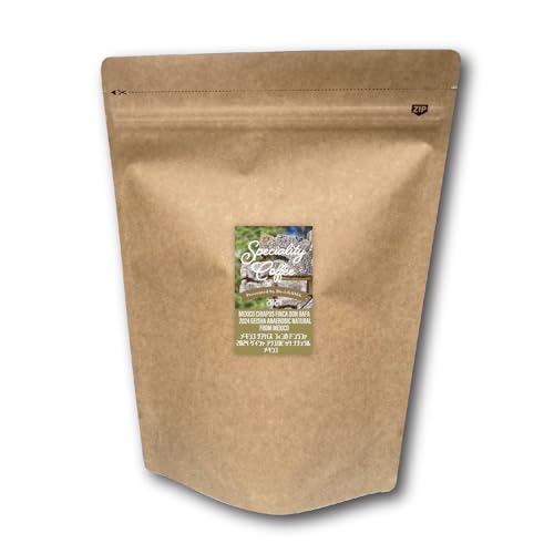 Dr-i-gama XyVeB QCVR[q[  LVR `ApX tBJ ht@ QCV AiGrbN i` 2024 (FSOOt`[XgF[un}S[s[`̗lȊÂƐ[_ƃRÑQCV