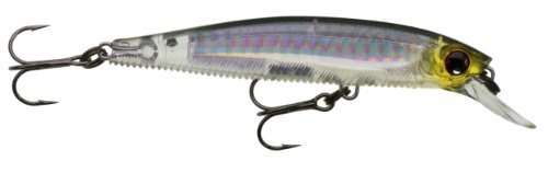 Daiwa tomorua- F – horoayu