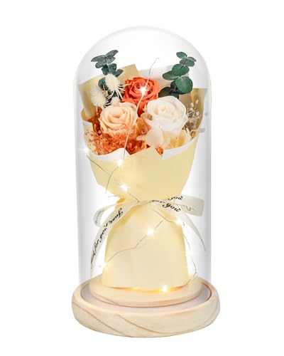 HVY Ramo de flores preservadas para ella, ramo de flores frescas para el día de la madre, regalos de cumpleaños para mamá, regalos de rosas preservadas para mujeres, esposa, novia, rosa roja eterna