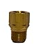 Trico FA-1019 Brass Central Lubrication, Adapter, 5/16"-24 Female x 1/8" BSPT Male