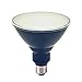 Energetic LED PAR38 Blue Decorative Light Bulb 85 Watt Equivalent, 8 Watts