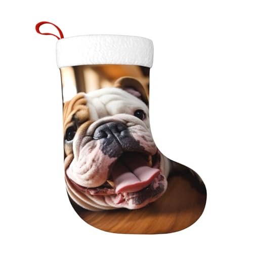 HDSKFNS Divertenti calze natalizie con bulldog inglese, decorazioni per feste di Natale in famiglia