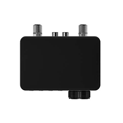 Moniel Amplificador digital HIFI BT 5.0 Mini Amp de áudio estéreo 100W Dual Channel Sound Power Rece