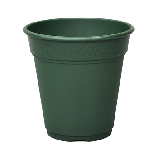 AbvEFA[  v^[ v [A|bg 240^ O[ ye4L s24×24×23.5p [^ o Rjt@[ グ {