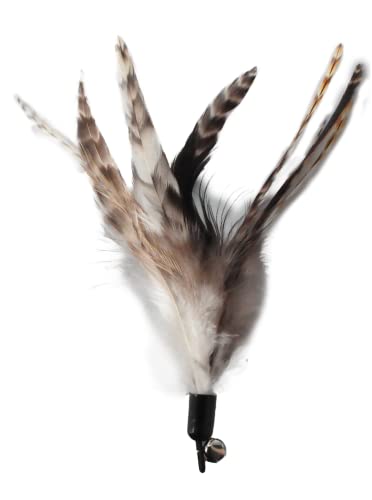Ecocity TOY010 Cat Toys - No Chemical Dyeing Cat Feather Toys thumb #7