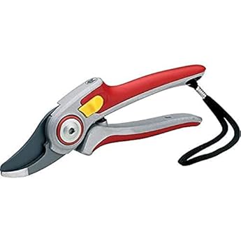 Foto di Wolf-Garten 7263007 RR 5000 BL Cesoie Bypass Alu-Professional in Blister, Rosso/Argento