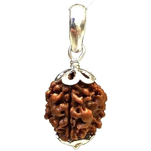Three Mukhi Rudraksha Lab Certified