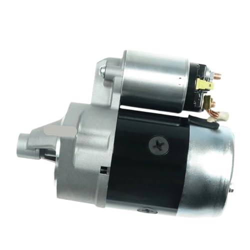 Moteur de démarreur 12V résout les problèmes de démarrage à froid 429917400