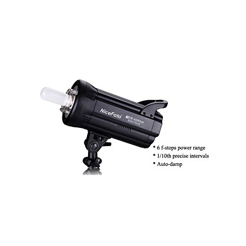 nicefoto Flash tb400b