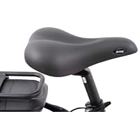 F.lli Schiano E- Moon, Bicicletta elettrica Unisex Adulto, Nera, 26'' :  Sport e tempo libero