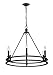 Z-Lite 6 Light Chandelier 4005-6MB, Black